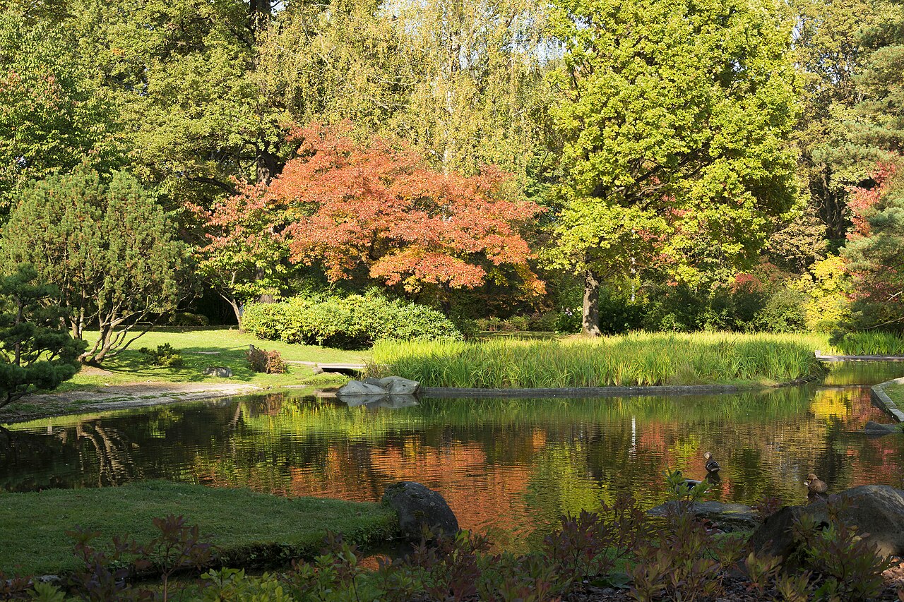 Japanese Garden Moscow