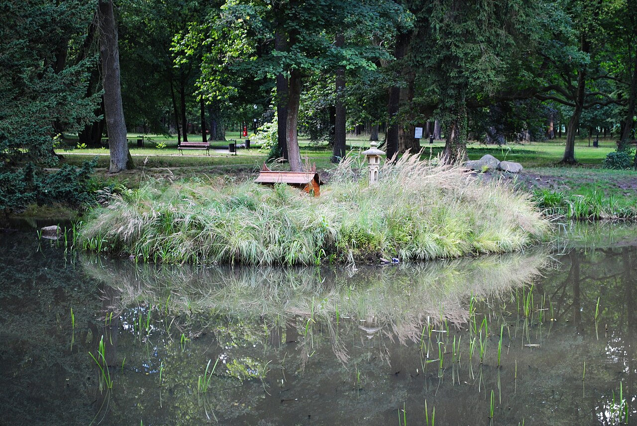 Park Ilowa