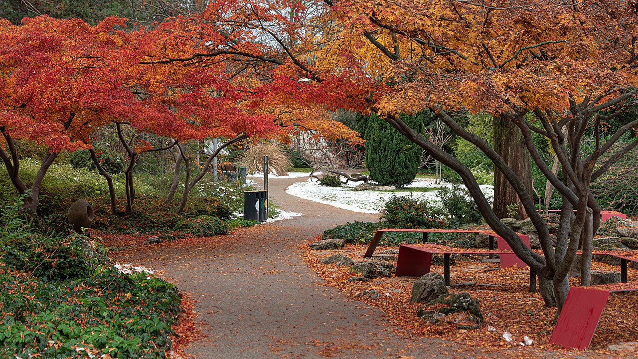 Japanese Garden Margaret Island Budapest