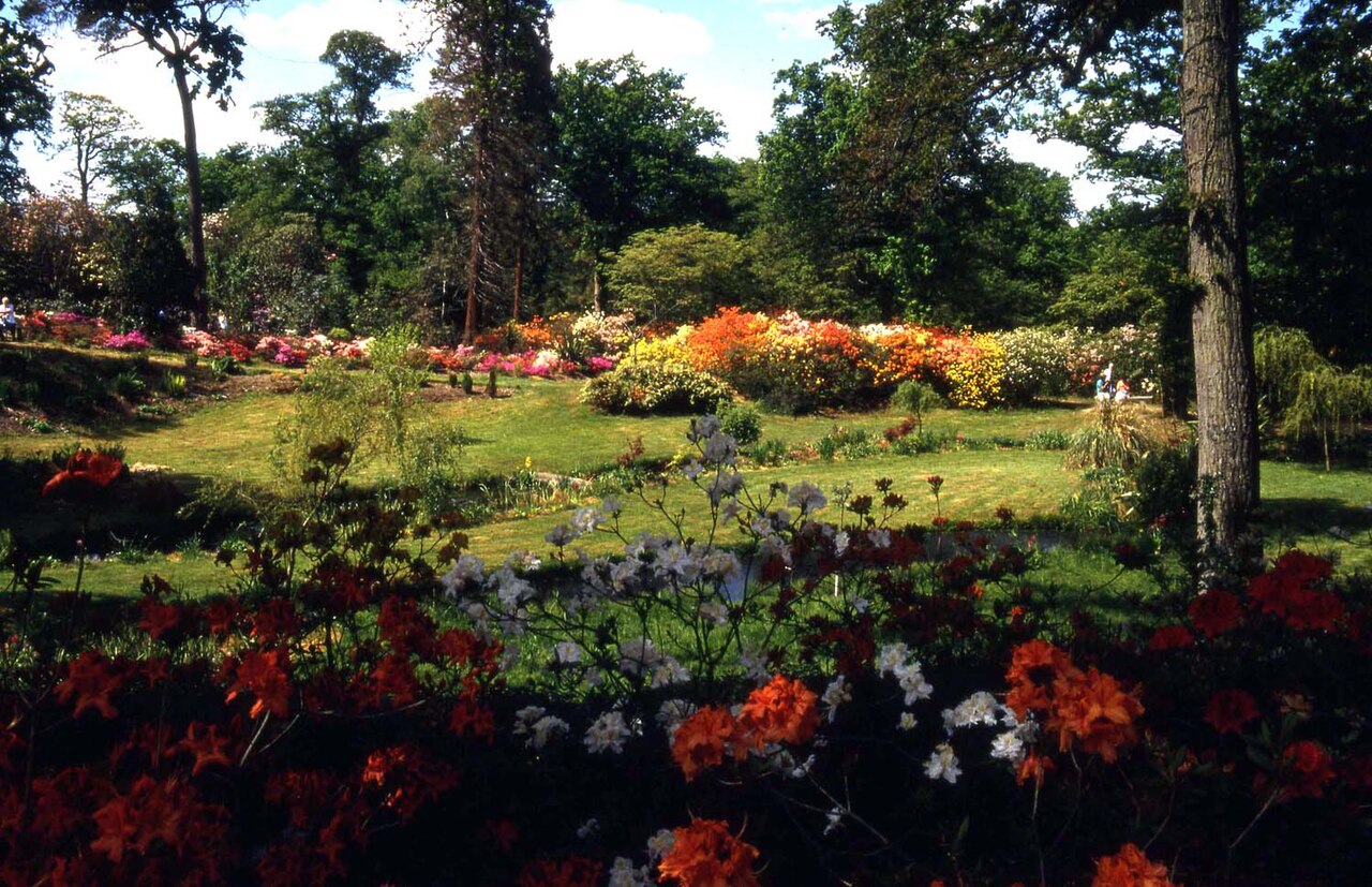 Exbury Garden