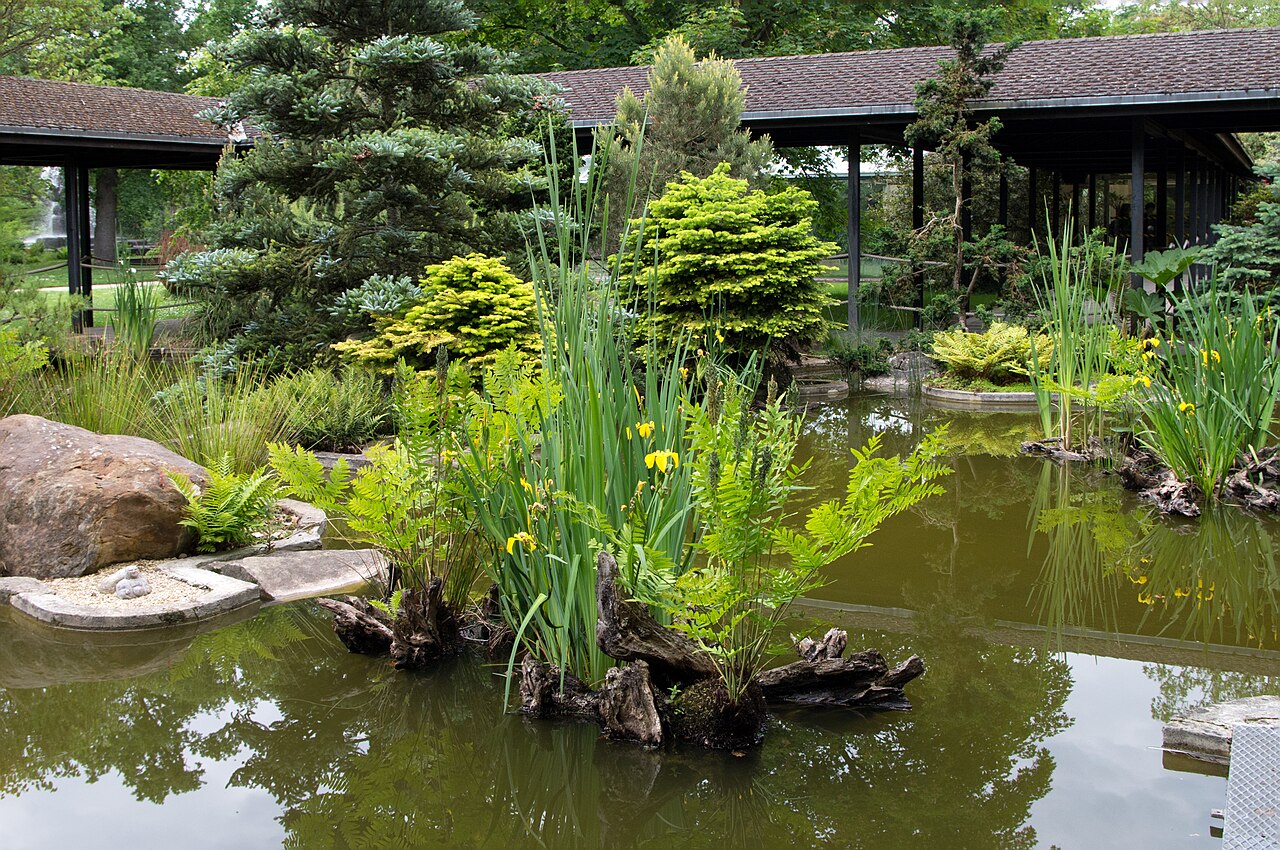 Devant un pavillon japonais du Parc Floral