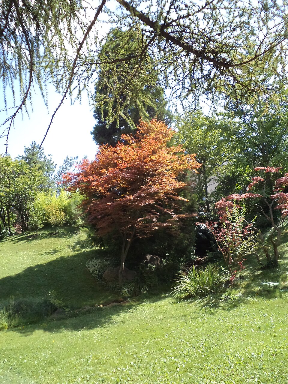 japanese garden budapest zoo