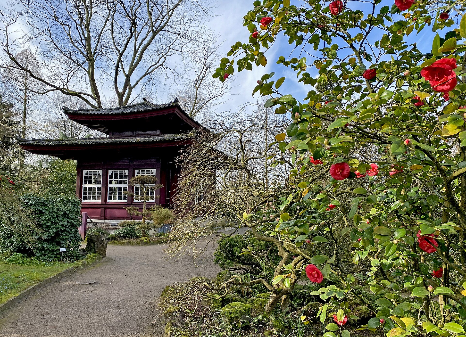Japanese Garden Leverkusen