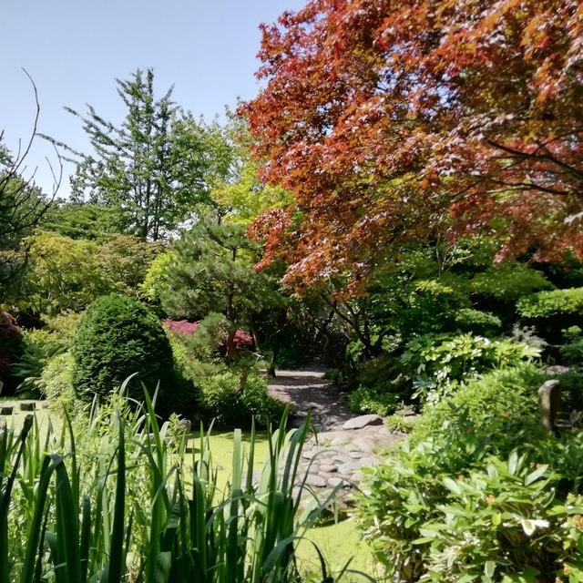 Calderstones Park