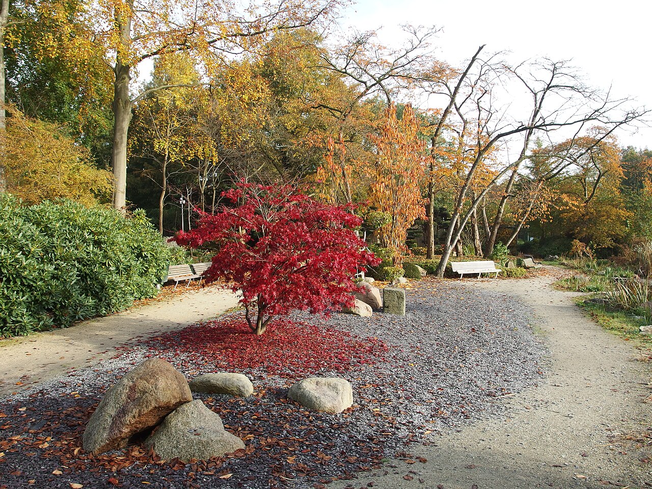 Photo: <a href="https://www.flickr.com/photos/o_0/22421478410">Japanese Garden @ Amstelpark @ Amsterdam</a>  by <a href="https://www.flickr.com/people/o_0/">Guilhem Vellut</a>,  <a href="https://creativecommons.org/licenses/by/2.0/">CC BY 2.0</a>,  via <a href="https://commons.wikimedia.org/wiki/File:Japanese_Garden_@_Amstelpark_@_Amsterdam_(22421478410).jpg">Wikimedia Commons</a>.