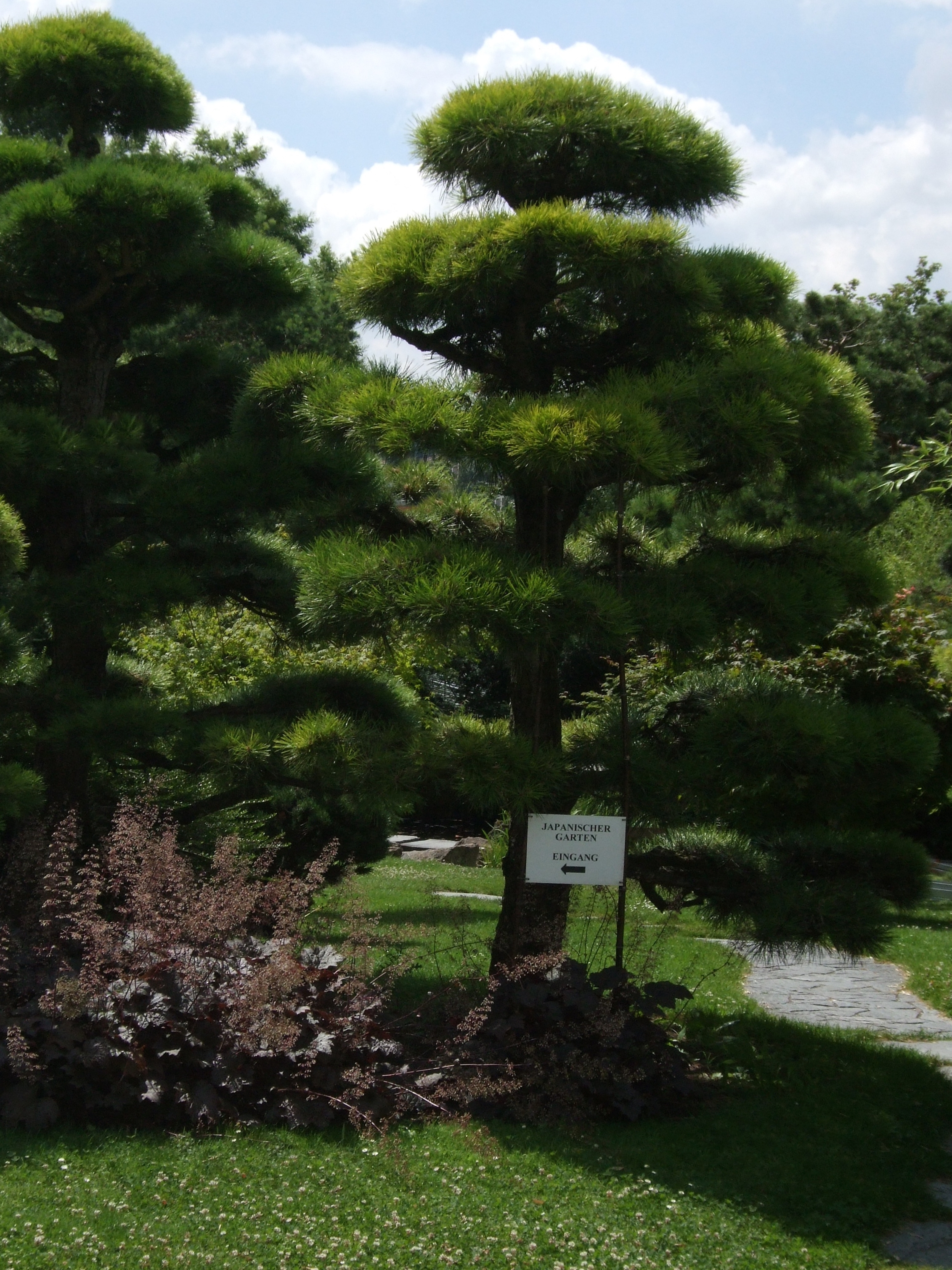 japanese garden ludwigsburg