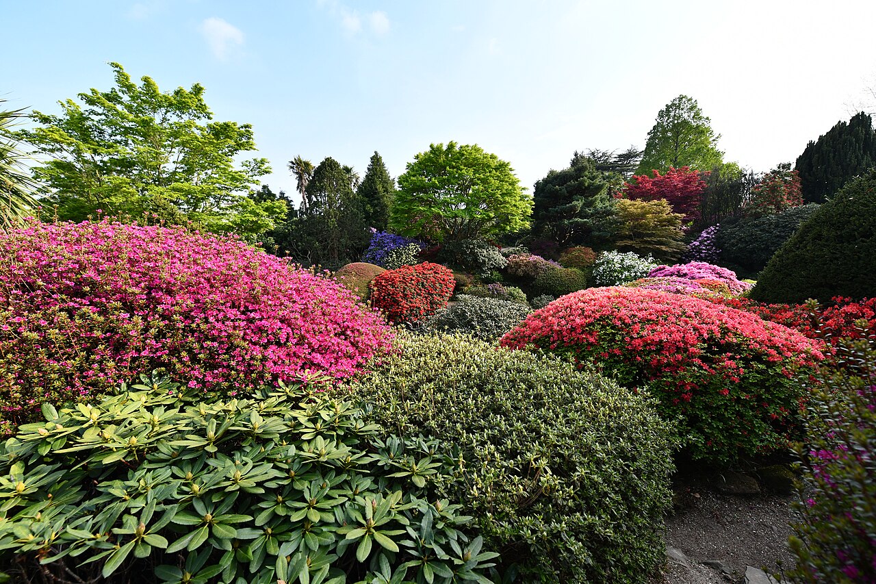 Leonardslee Gardens