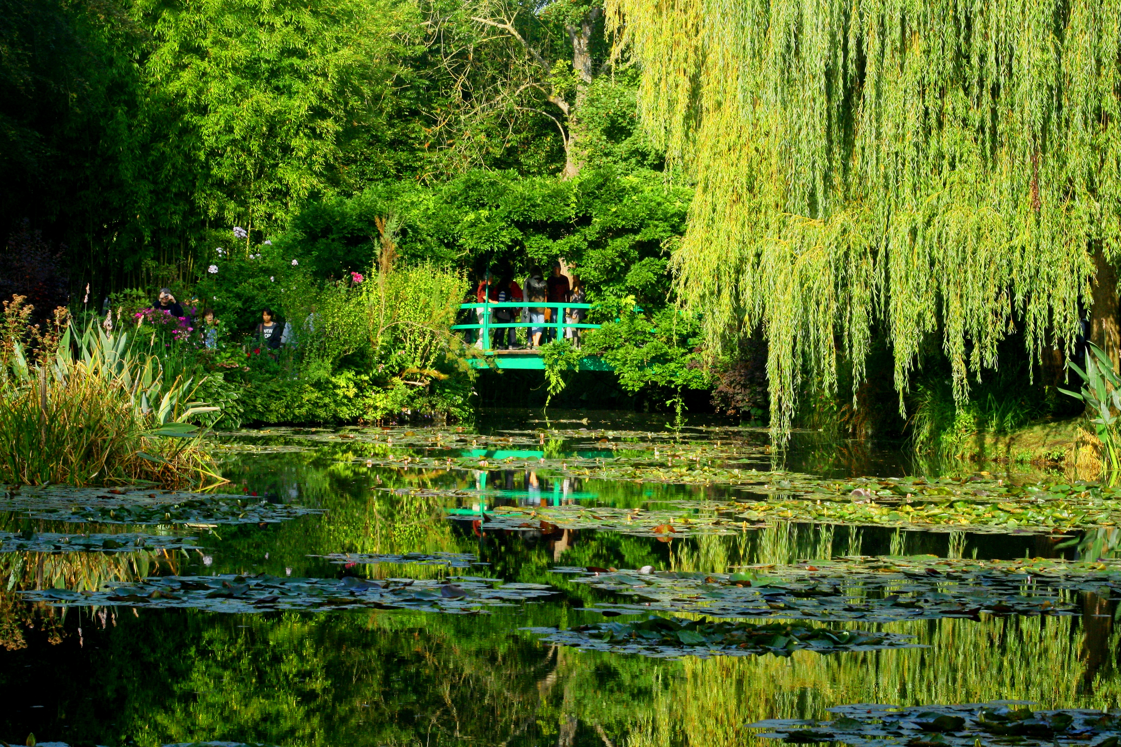 Lilly Pond, Monet's Garden