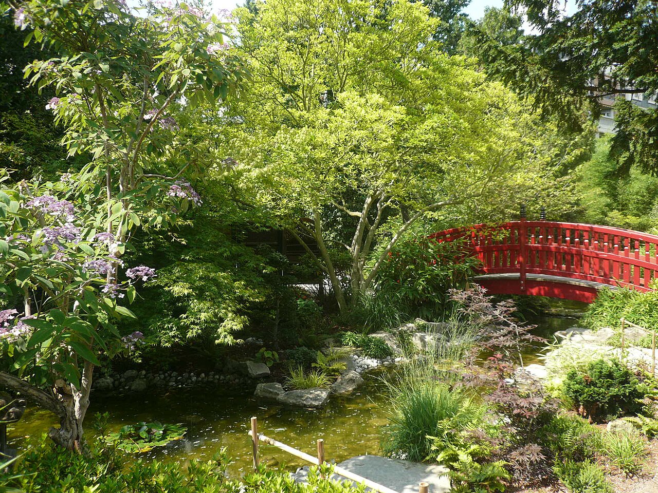 Amitié Park Japanese Garden
