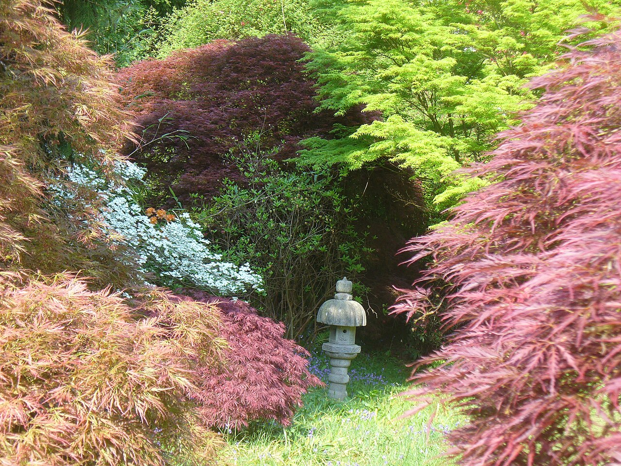 Ramster Garden