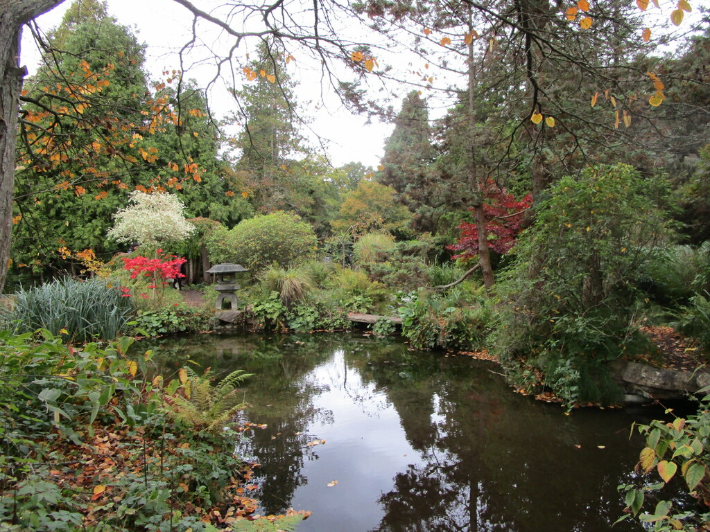Newstead Abbey Japanese Garden