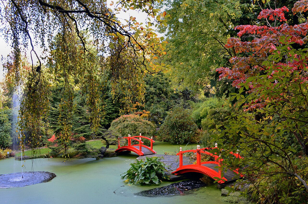 Watergardens, Coombe