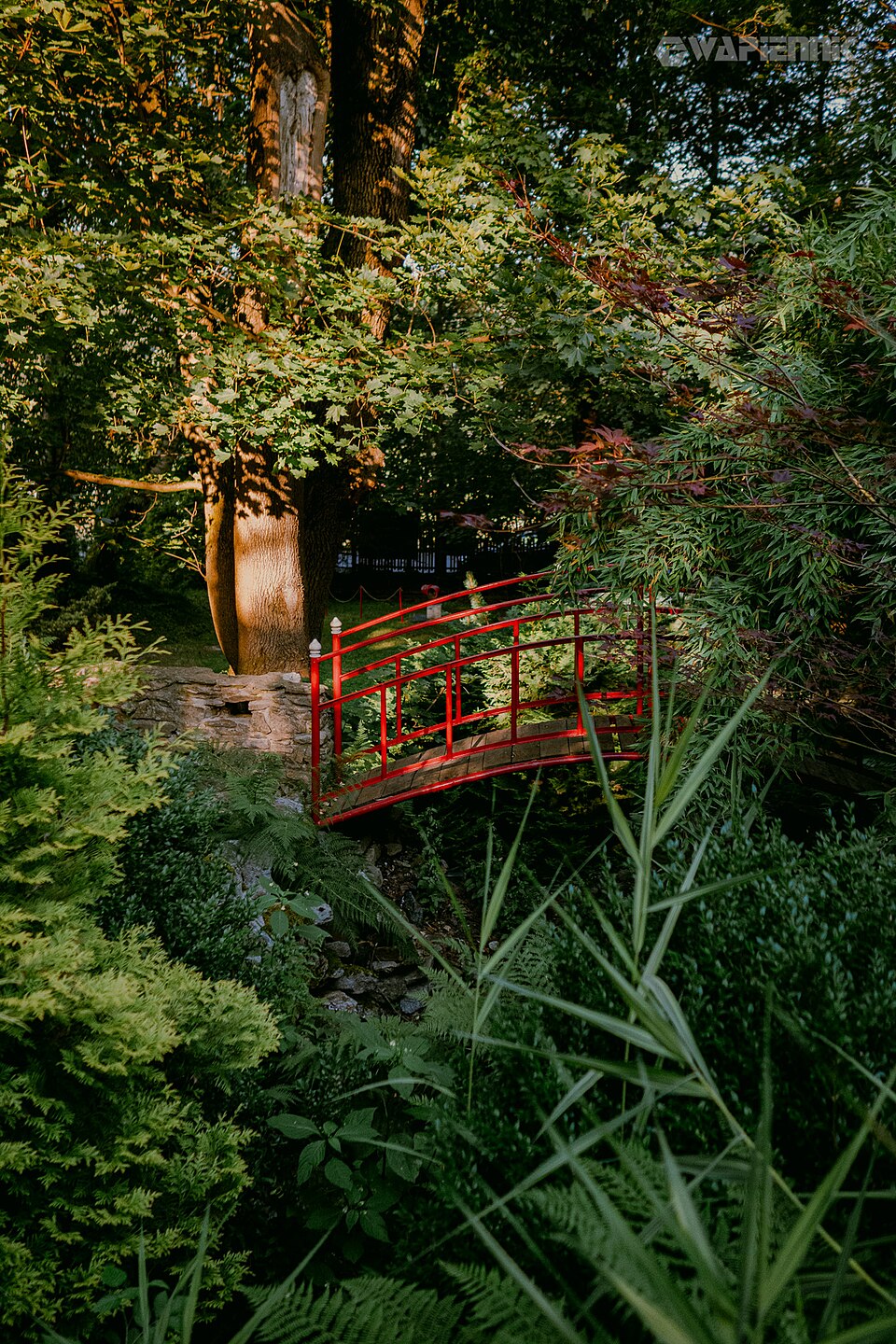 Japanese Garden at Wapiennik Łaskawy Kamień