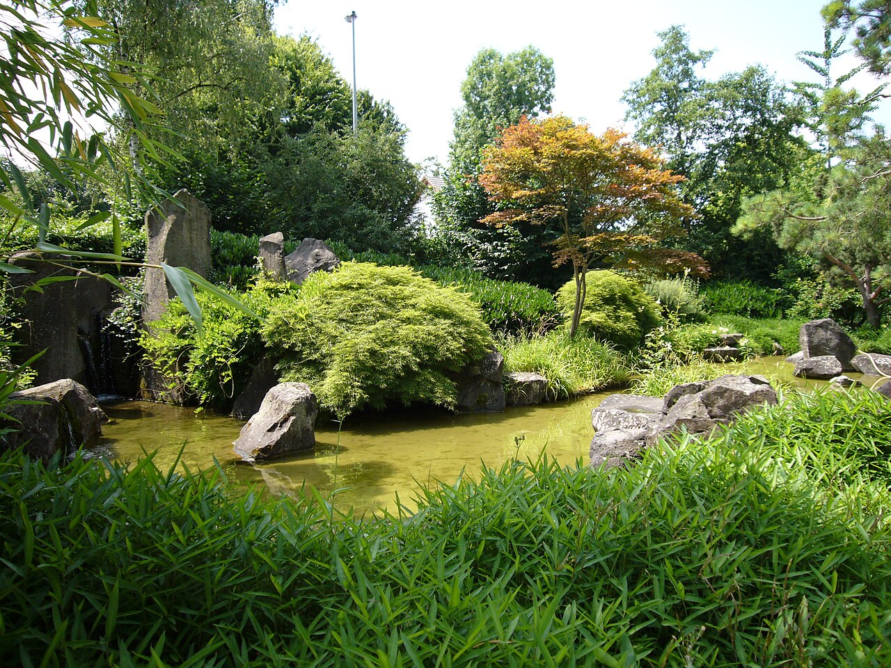 Hana Balz Japanese Garden