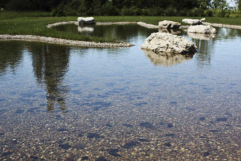 japanese garden chaumont festival