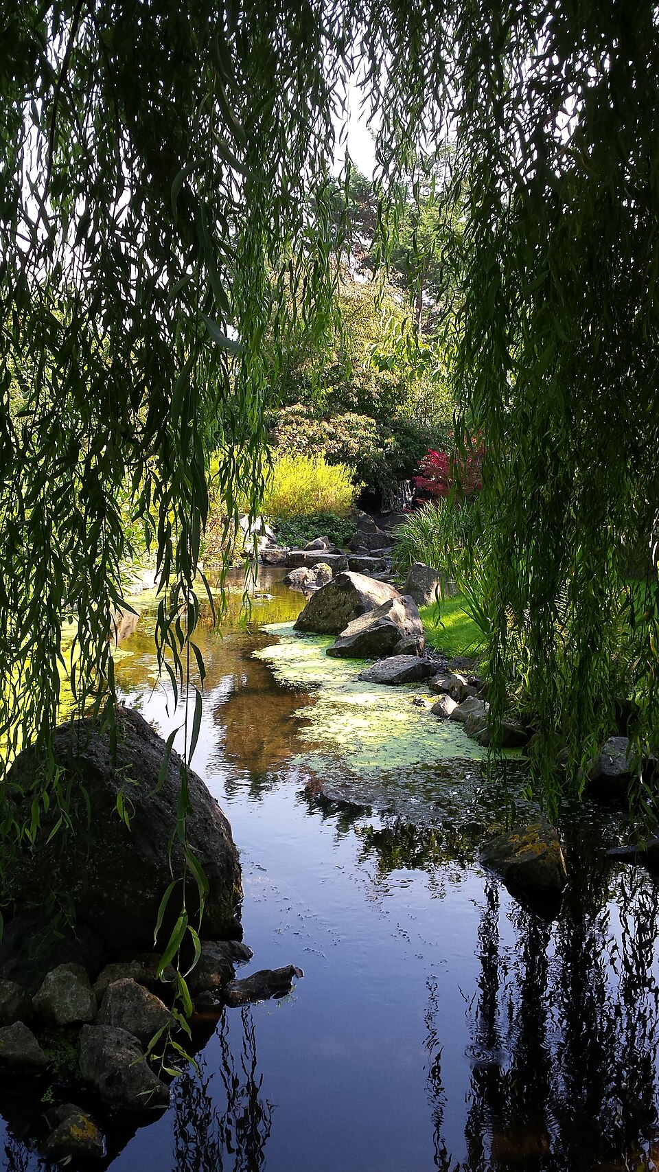 Den Helder Hortus Overzee