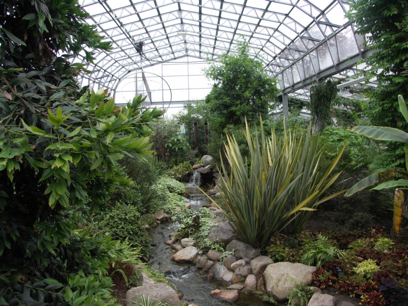 Duthie Park - Winter Gardens