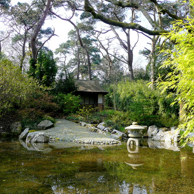 Pine Lodge Gardens