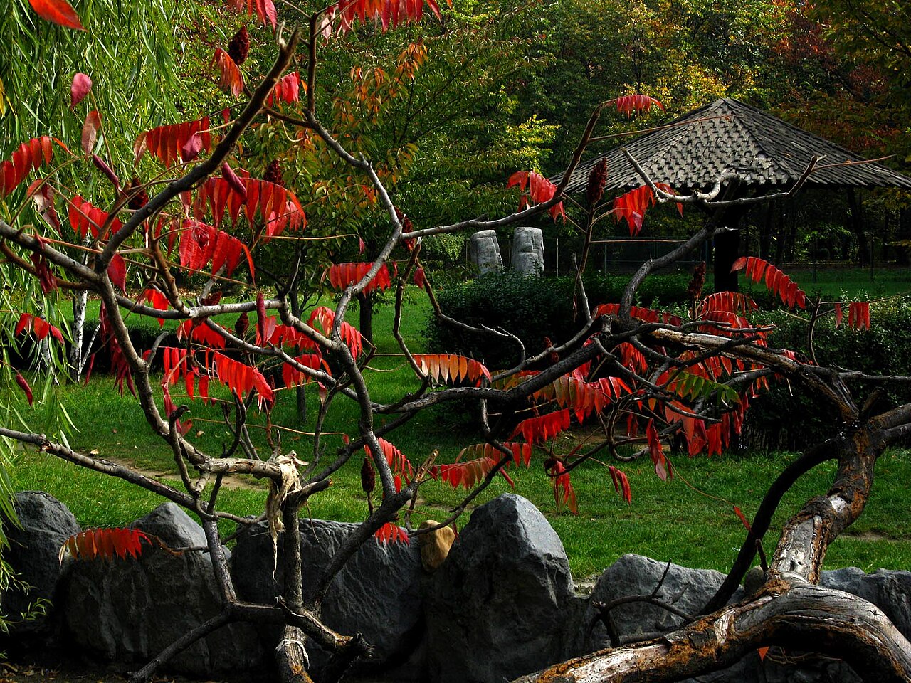 Japanese Garden Herastrau Park