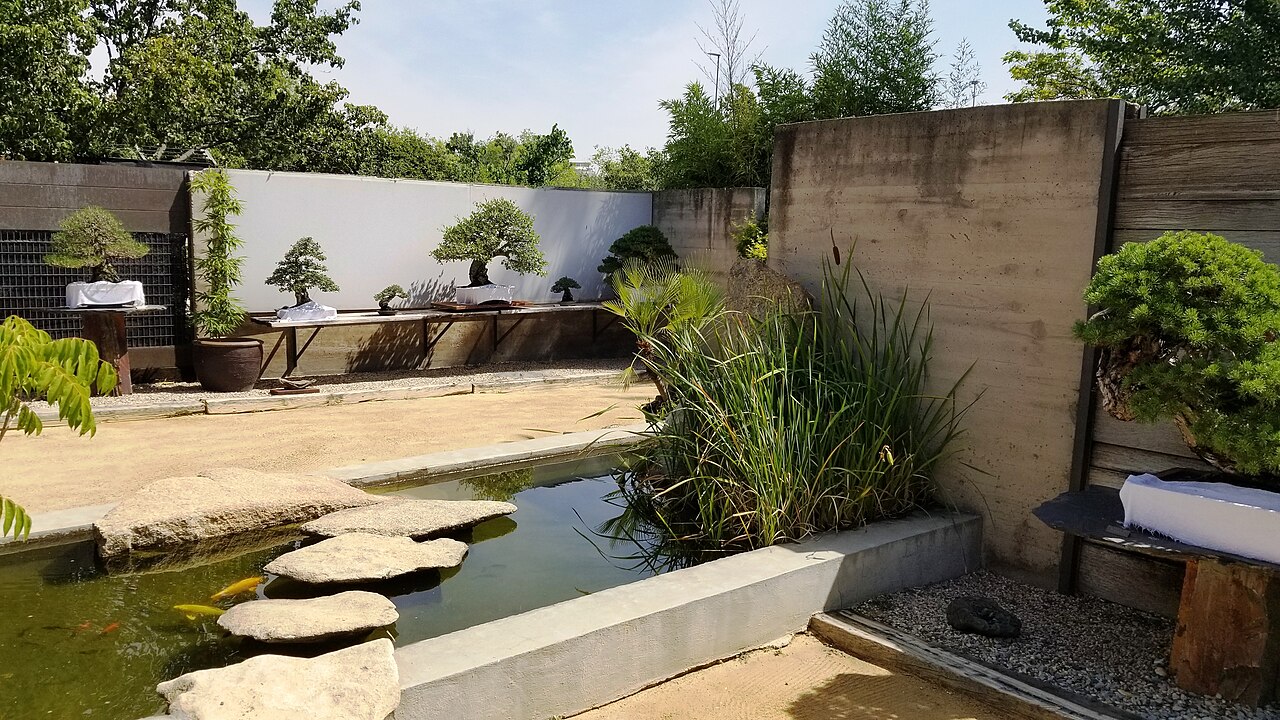 Japanese Garden Bonsai Museum Luis Vallejo