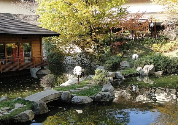 Marinela Sofia Japanese Garden