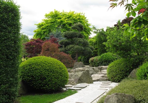 Freiburg japanese garden
