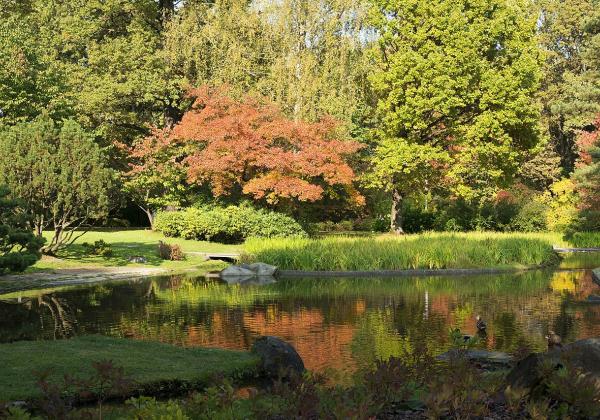 Japanese Garden Moscow