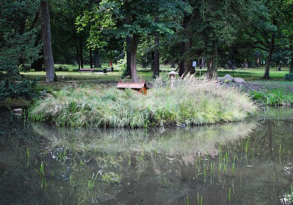 Park Ilowa
