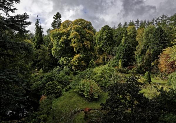 Kildrummy Castle Garden