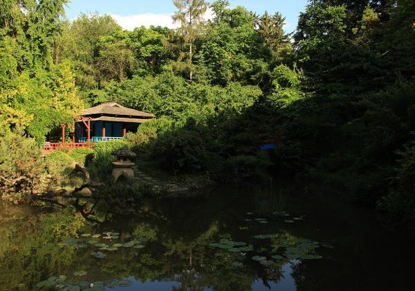 Botanic Garden Cluj Napoca