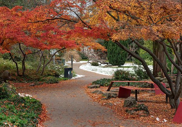 Japanese Garden Margaret Island Budapest