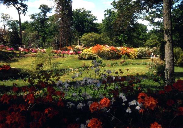 Exbury Garden