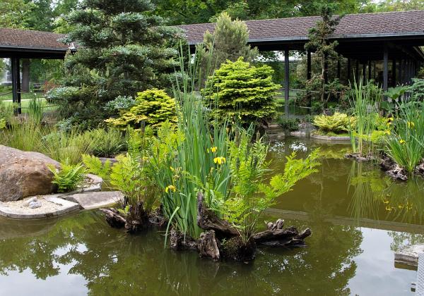 Devant un pavillon japonais du Parc Floral