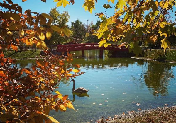 Japon Bahçesi, Eskişehir Hayvanat Bahçesi