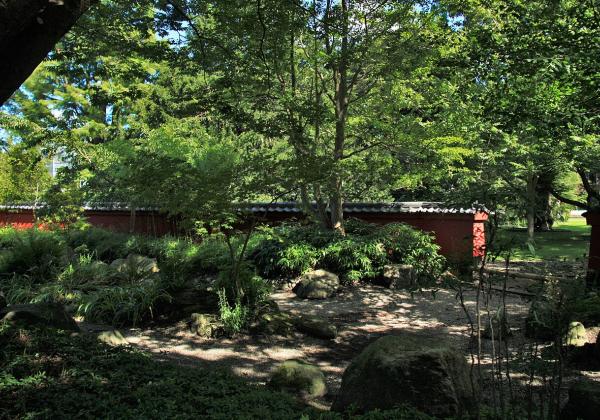 Japanese Garden Leiden