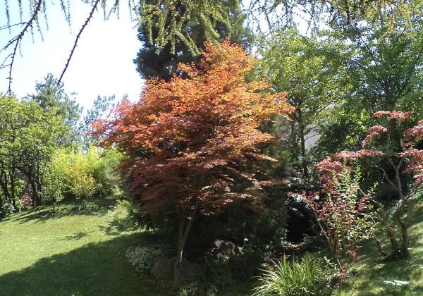 japanese garden budapest zoo