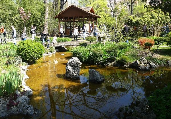 Varga Márton Japanese Garden