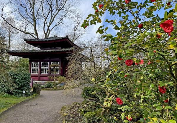 Japanese Garden Leverkusen