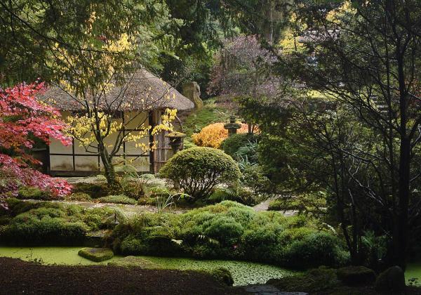 Japanese Garden, Tatton Park