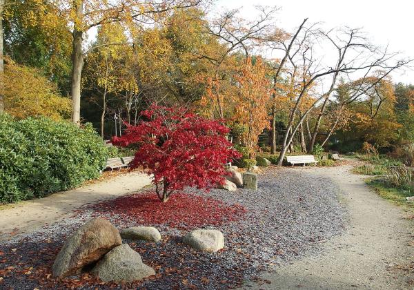 Photo: <a href="https://www.flickr.com/photos/o_0/22421478410">Japanese Garden @ Amstelpark @ Amsterdam</a>  by <a href="https://www.flickr.com/people/o_0/">Guilhem Vellut</a>,  <a href="https://creativecommons.org/licenses/by/2.0/">CC BY 2.0</a>,  via <a href="https://commons.wikimedia.org/wiki/File:Japanese_Garden_@_Amstelpark_@_Amsterdam_(22421478410).jpg">Wikimedia Commons</a>.