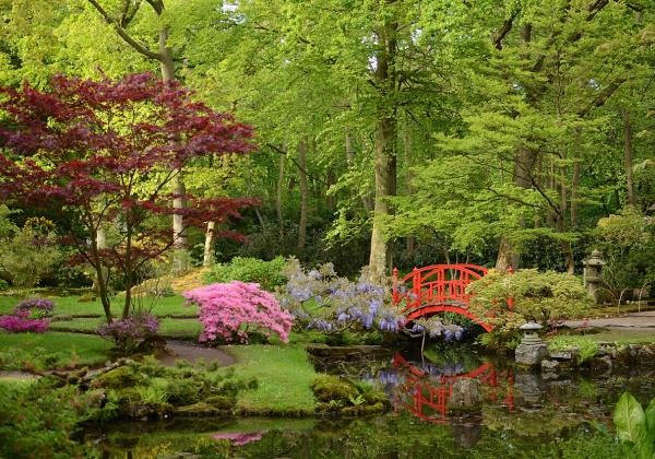Clingendael Japanese Garden