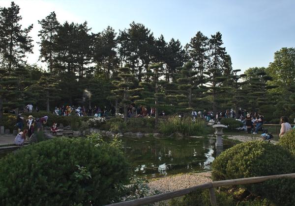 Japanese Garden Düsseldorf