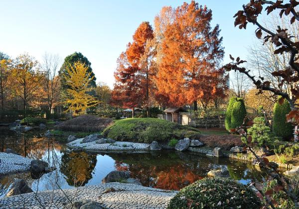 Japanese Garden Bonn