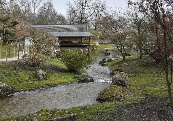 Hasselt Japanese Garden