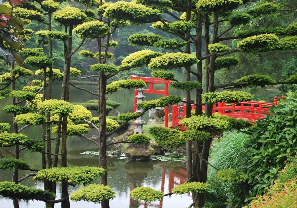 Parc Oriental Maulevrier