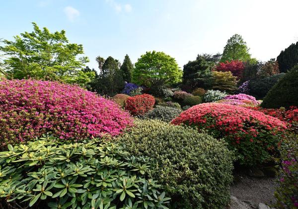 Leonardslee Gardens