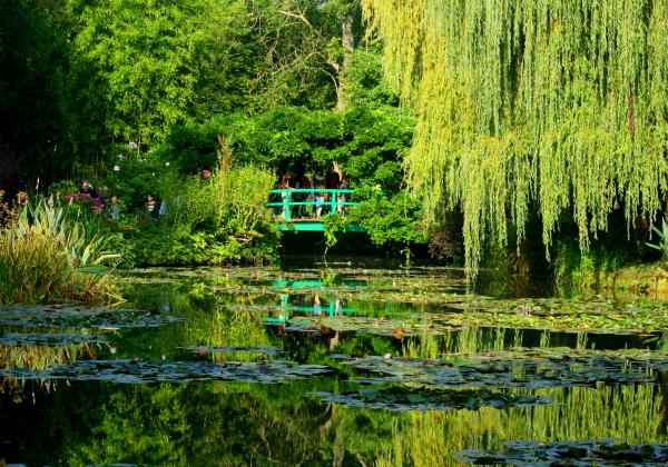 Lilly Pond, Monet's Garden