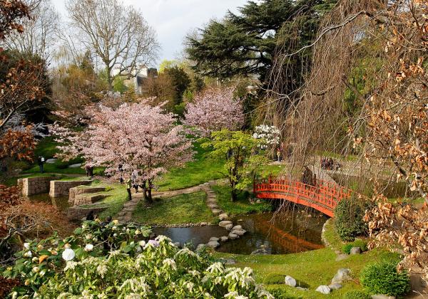 Albert Kahn Japanese Garden