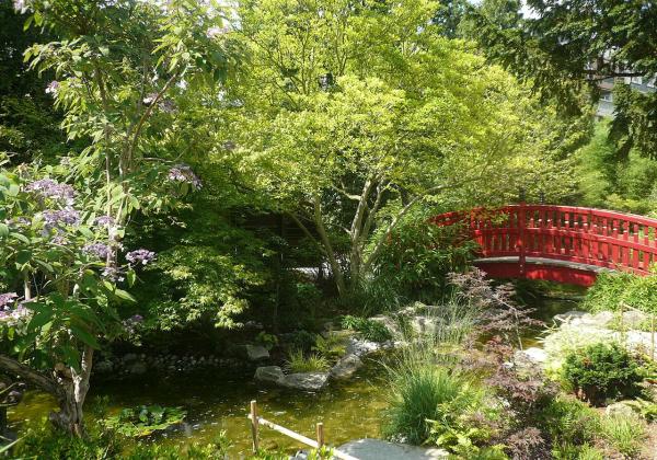 Amitié Park Japanese Garden