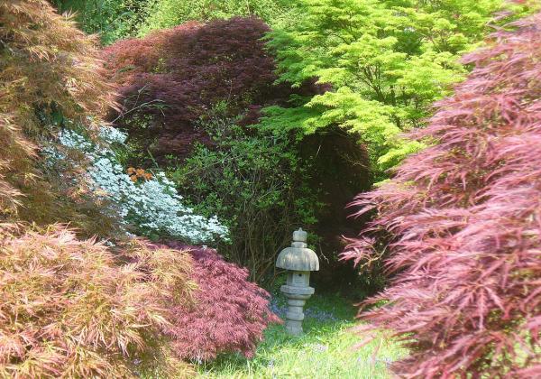 Ramster Garden
